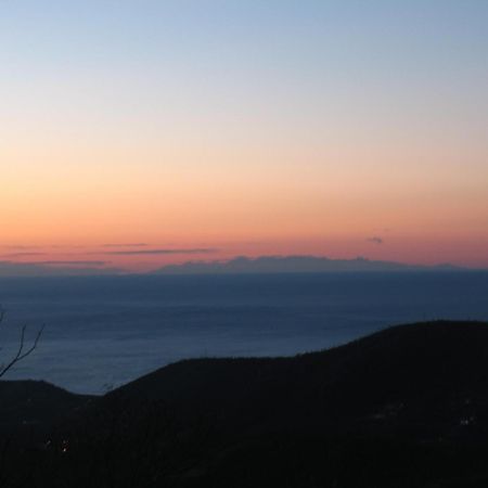 Casa Vacanze L'Agrifoglio Bed and Breakfast Magliolo Εξωτερικό φωτογραφία