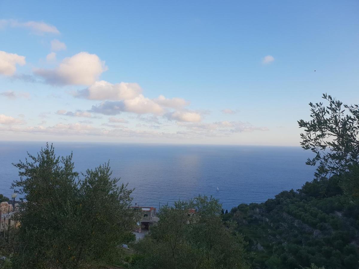 Casa Vacanze L'Agrifoglio Bed and Breakfast Magliolo Εξωτερικό φωτογραφία