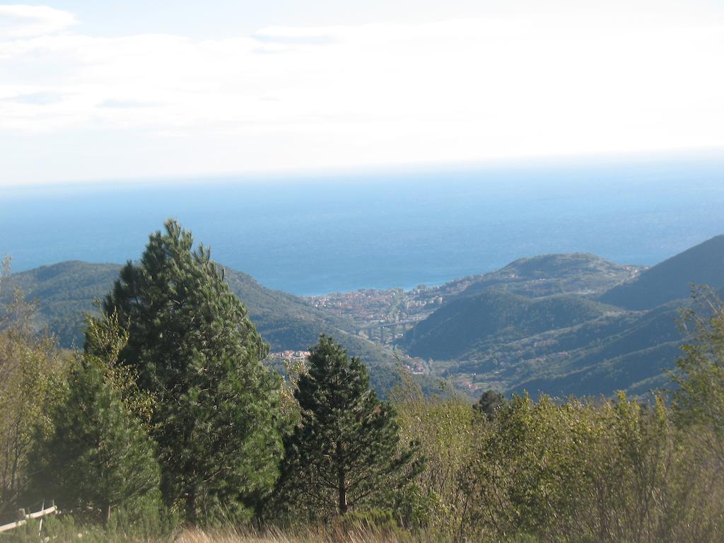 Casa Vacanze L'Agrifoglio Bed and Breakfast Magliolo Εξωτερικό φωτογραφία