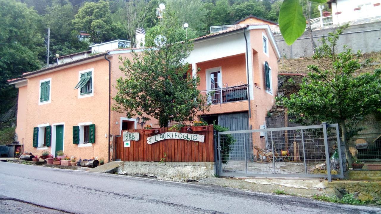 Casa Vacanze L'Agrifoglio Bed and Breakfast Magliolo Εξωτερικό φωτογραφία